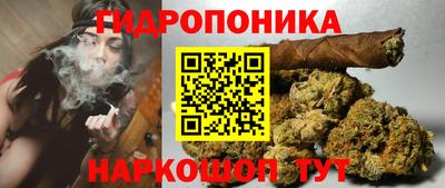 шишки Конаково