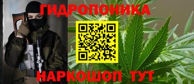 шишки Конаково