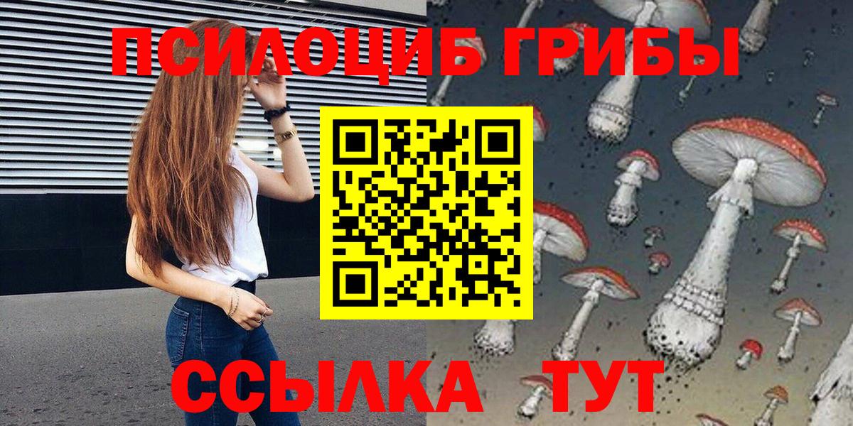 Псилоцибиновые грибы ЛСД  Галлюциногенные грибы Psilocybine cubensis  Кубинка  Вход с VPN 