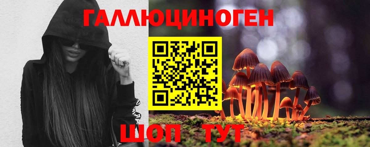 Псилоцибиновые грибы MAGIC MUSHROOMS Кубинка